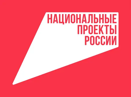 Национальные проекты России